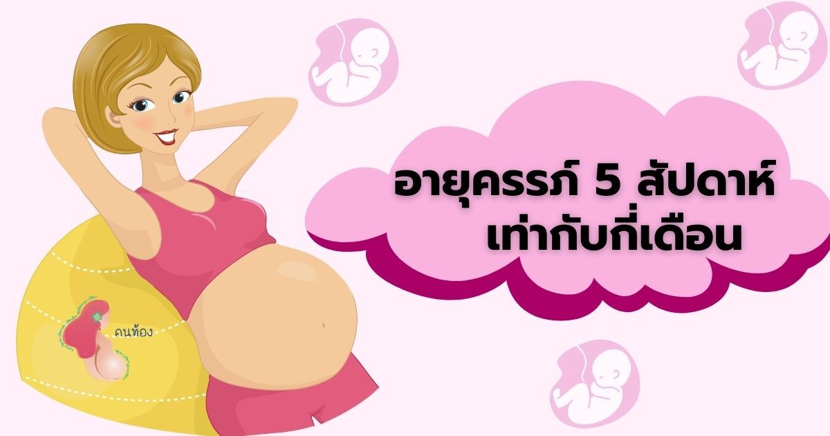 อายุครรภ์ 5 สัปดาห์ เท่ากับกี่เดือน อยากรู้ต้องคลิกเลย! - Konthong.com