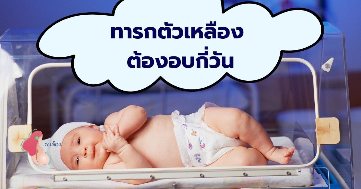 ลูกตัวเหลือง อบกี่วัน ควรดูแลลูกน้อยอย่างไร